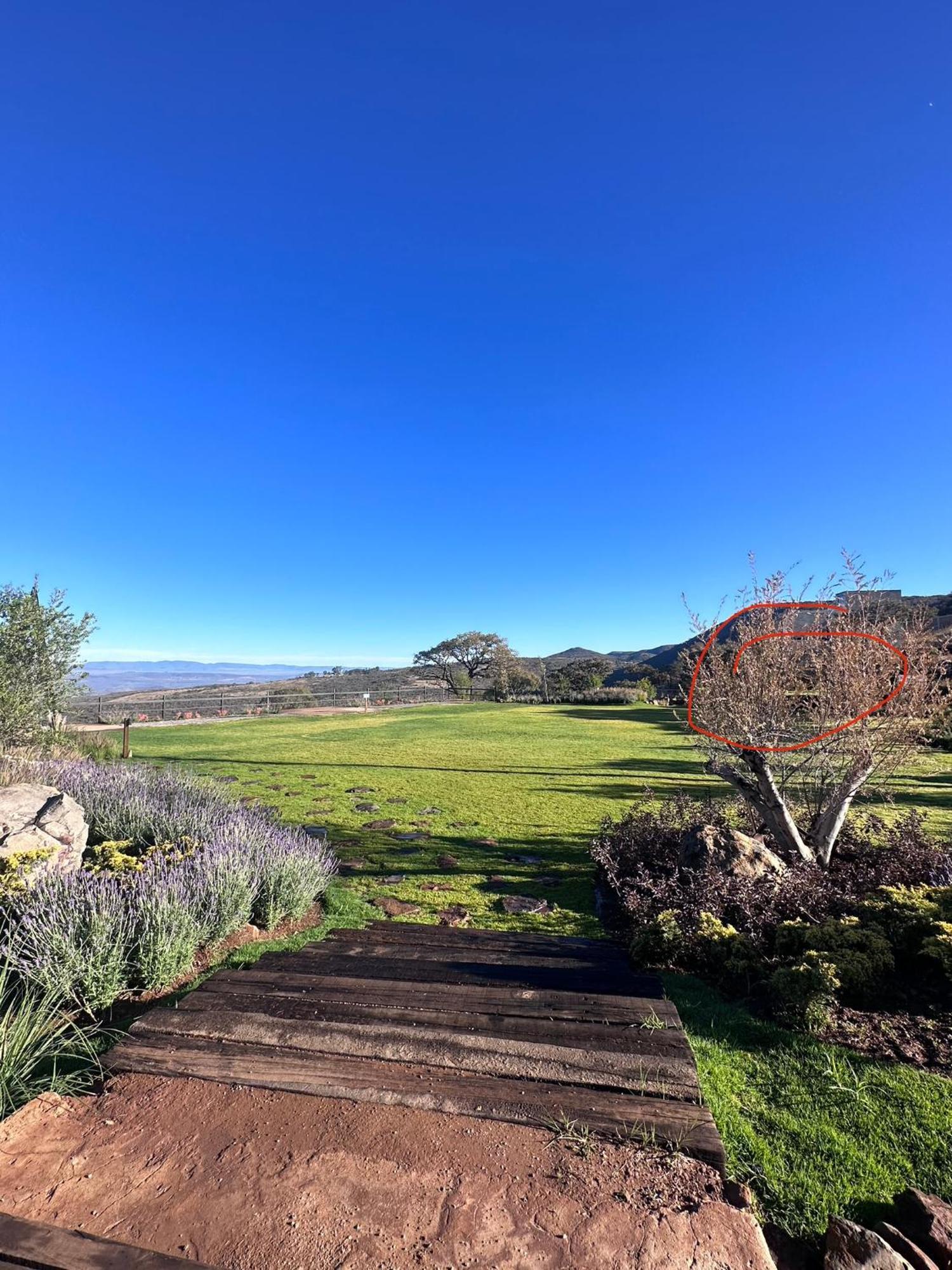 Finca La Cumbre Tepatitlán de Morelos Zewnętrze zdjęcie