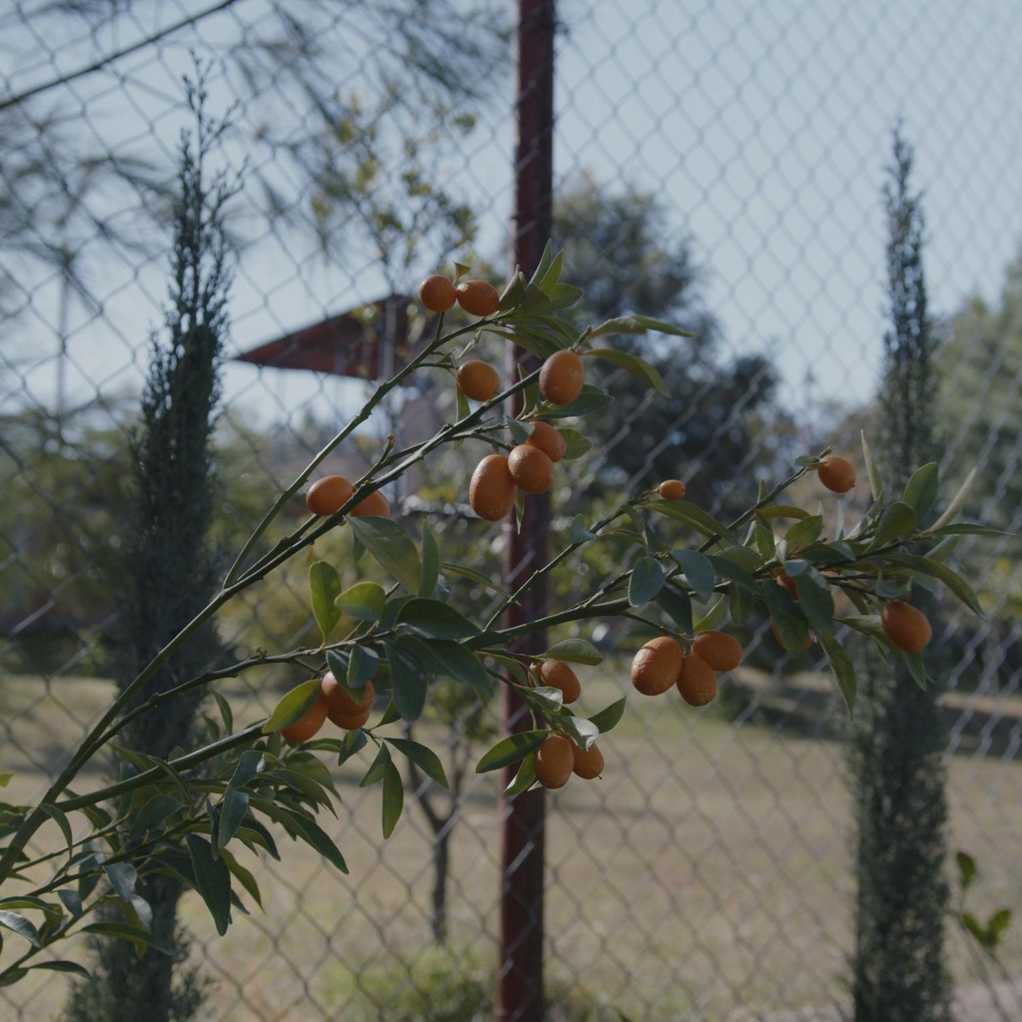 Finca La Cumbre Tepatitlán de Morelos Zewnętrze zdjęcie